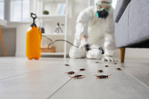 Commercial Kitchen Cockroach Control in Wingate